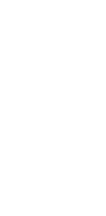 undp